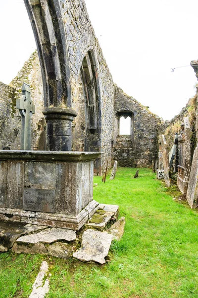 Kilcrea，爱尔兰 — — 11 月 28 日： 在 2012 年 11 月 28 日在 co.cork，爱尔兰 kilcrea 男修道院 — 图库照片