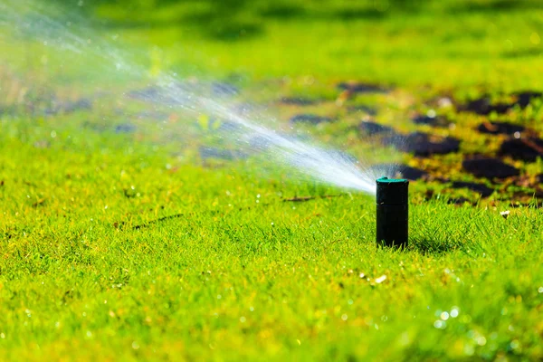 Trädgårdsarbete. Gräsmatta sprinkler sprutning vatten över gräs. — Stockfoto