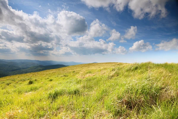 Příroda. Polní horská krajina v létě — Stock fotografie