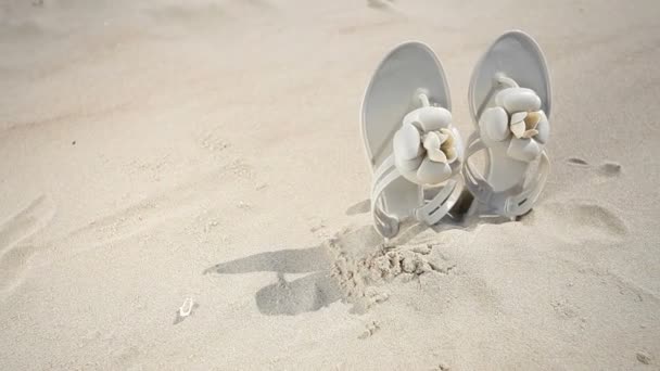 Women shoes on the beach — Stock Video