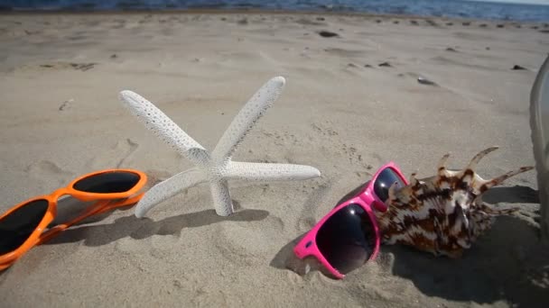 Estrellas de mar, zapatos y gafas en la playa — Vídeos de Stock