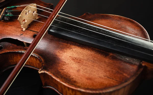 Closeup of violin instrument. Classical music art — Stock Photo, Image