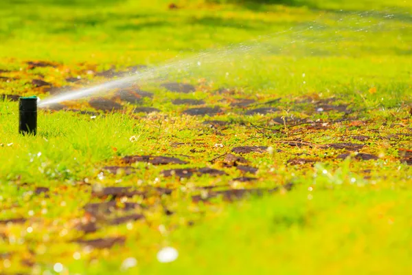 Jardinería. Aspersor de césped rociando agua sobre hierba. — Foto de Stock