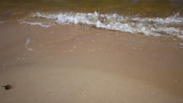 Θαλασσινά κύματα πάνω από την παραλία — Αρχείο Βίντεο