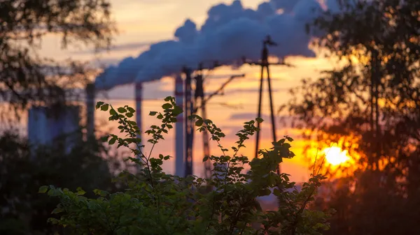 Smoke from chimney power plant station at sunset — Stock Photo, Image