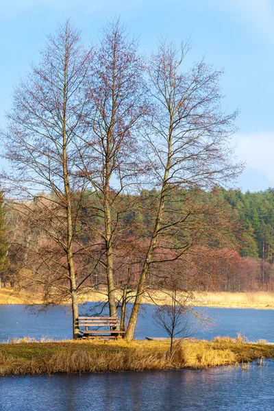 Único banco de madeira e árvores na margem do rio ou na margem do lago ao ar livre . — Fotografia de Stock