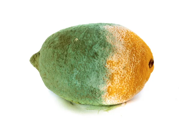 Green moldy lemon citrus fruit — Stock Photo, Image