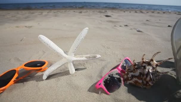 Lunettes de soleil colorées, coquillages et étoiles de mer sur la plage de sable . — Video