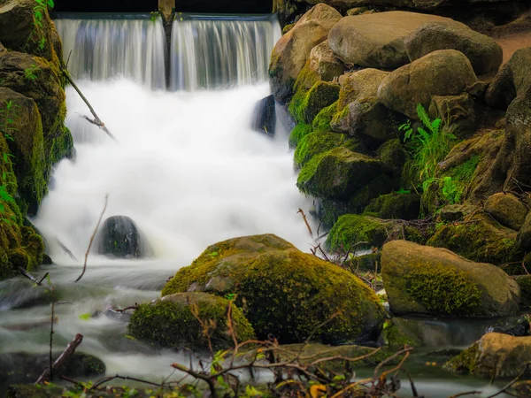 Waterfall in woods green forest. Stream in oliva park gdansk. — Stock Photo, Image