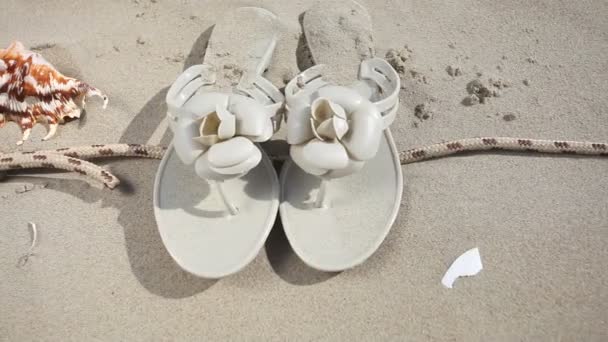 Zeesterren seastars, seashell en slippers op het touw aan het zandstrand. — Stockvideo