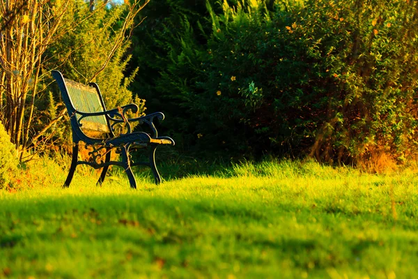 Old stylish bench in summer or autumnal garden — Stock Photo, Image