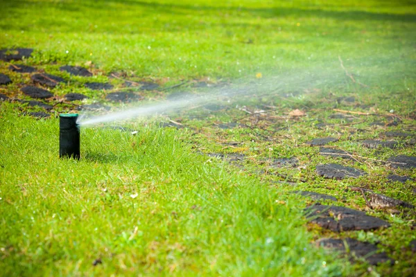 Gräsmatta sprinkler sprutar vatten över gräs. — Stockfoto