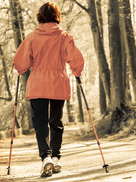 Frau wandert im Waldpark. — Stockfoto