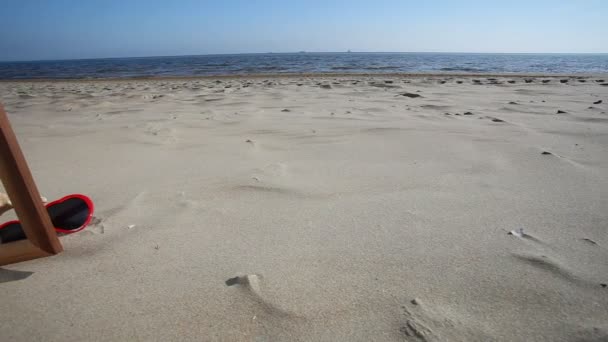 Espace de copie vierge avec coquillage, étoile de mer et lunettes de soleil sur la plage de sable — Video