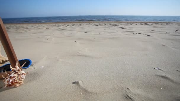 Quadro de madeira borda espaço de cópia em branco com concha, estrelas do mar e óculos de sol na praia arenosa — Vídeo de Stock