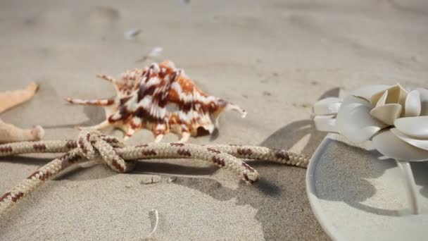 Cuerda con estrellas de mar, concha y chanclas en la playa de arena . — Vídeos de Stock