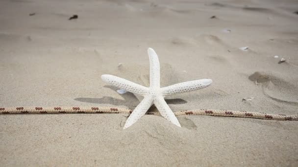 Starfishes, concha marina y cuerda en la playa de arena — Vídeos de Stock