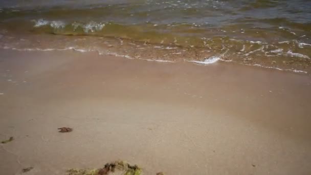 Sea Waves over Sand Beach — Stock Video