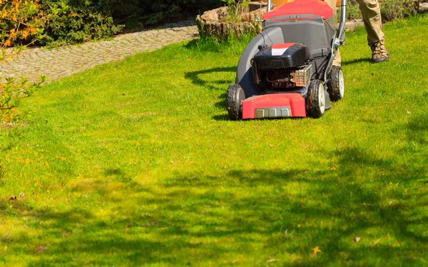 Mowing green lawn with red lawnmower — Stock Photo, Image