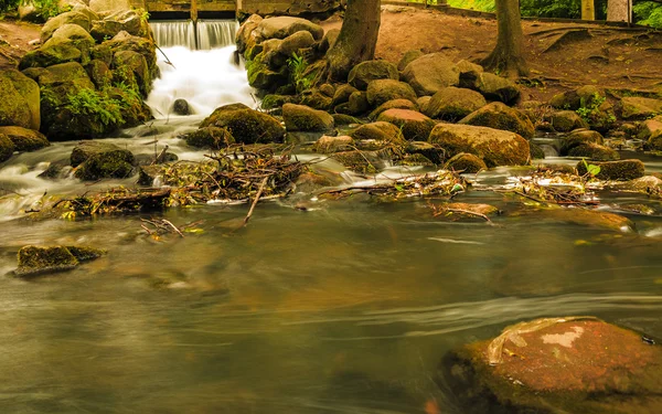 Waterfall in woods green forest. stream in oliva park gdansk. — Stock Photo, Image