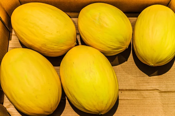 Melony świeże — Zdjęcie stockowe