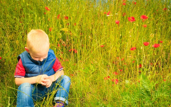 Child playing on meadow examining field flowers — Stock Photo, Image