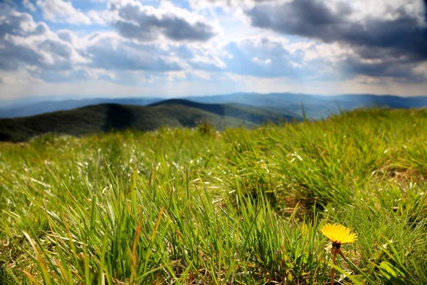 Yaz aylarında yeşil dağ manzarası — Stok fotoğraf
