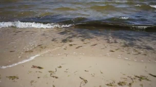 Sea Waves over Sand Beach — Stock Video