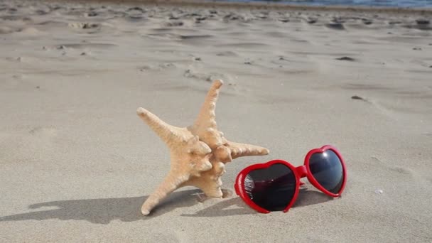 Estrellas de mar y gafas de sol en la playa de arena — Vídeo de stock