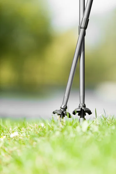 Stöcke auf Gras im Park — Stockfoto