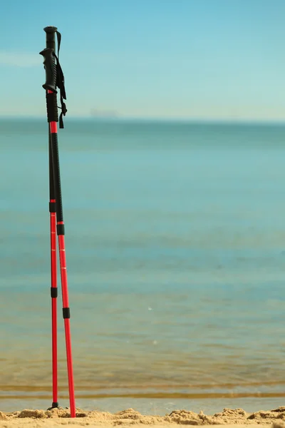 Sticks on a sandy beach — Stock Photo, Image
