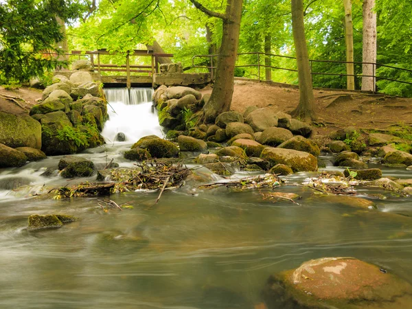 Cascadă în pădure pădure verde — Fotografie, imagine de stoc