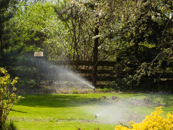 Sprinkler spraying water — Stock Photo, Image