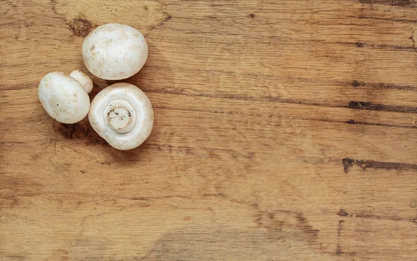 Verse witte champignons — Stockfoto