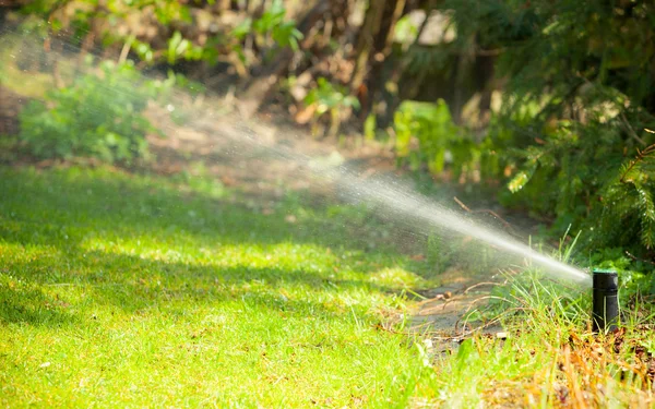 Irroratore per prato spruzzando acqua sull'erba — Foto Stock