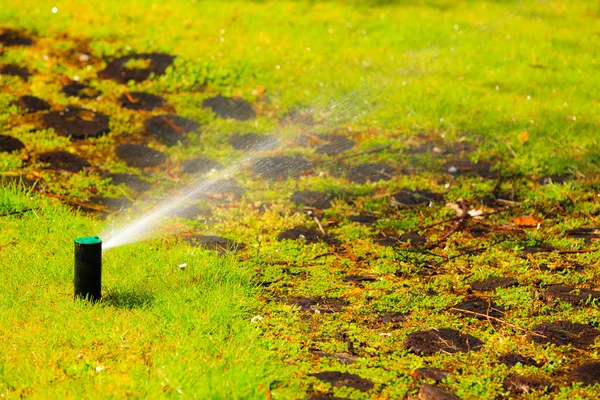 Protipožární trysky stříkající vody trávě — Stock fotografie