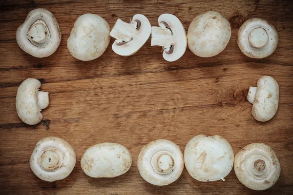 Cogumelos brancos frescos champinhons — Fotografia de Stock