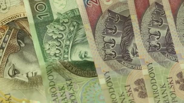 Χρήματα πολωνικό Ζλότυ — Αρχείο Βίντεο