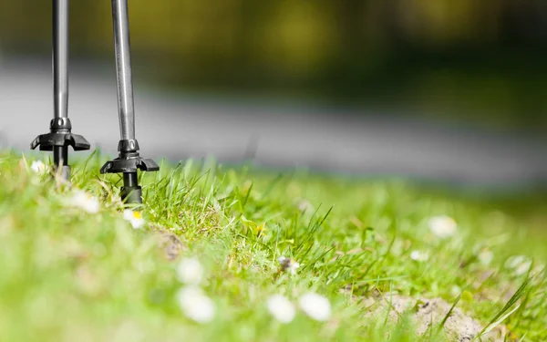 Nordic walking. Gray sticks on grass in park — Stock Photo, Image
