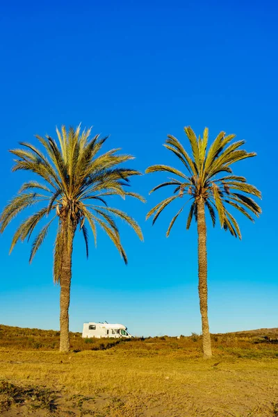 在西班牙的地中海海岸上 带着棕榈树的游乐车 在Percheles海滩露营假日和大篷车旅行 — 图库照片