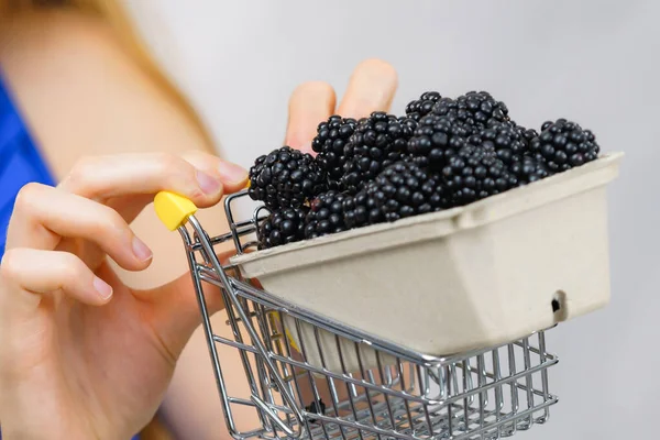 Handen Met Verse Braambessen Fruitdoos Winkelwagen Gezond Seizoensfruit Biologische Voeding — Stockfoto