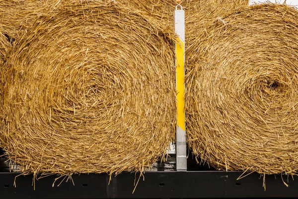 Landbouw Oogsten Sluiten Van Graanbaal Van Hooi Buiten — Stockfoto