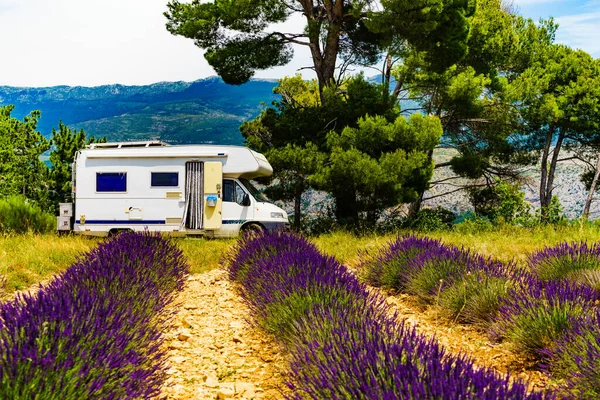 Camper Vehicle Camping Summer Nature Lavender Blooming Purple Field France — Zdjęcie stockowe