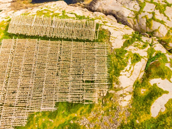 Aerial View Cod Stockfish Drying Racks Lofoten Islands Industrial Fishing — Stock Photo, Image
