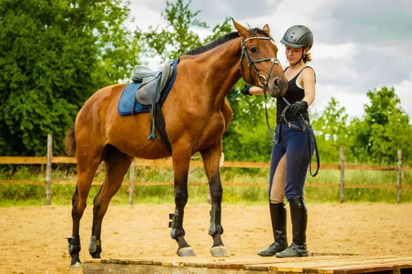 Hand Djur Horsemanship Equine Koncept Jockey Ung Kvinna Hjälmen Redo — Stockfoto