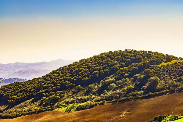 Spanyol Doğa Manzarası Malaga Ili Endülüs Spanya — Stok fotoğraf