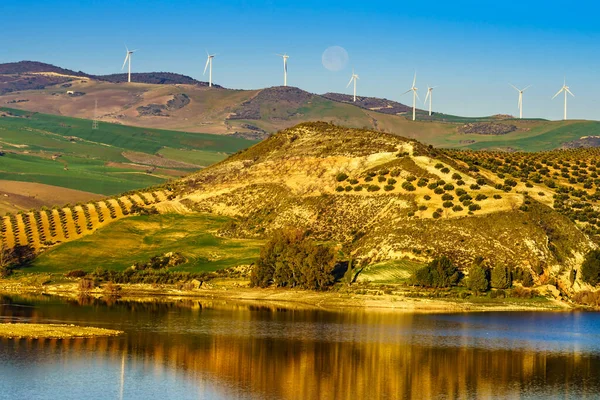 Des Éoliennes Sur Les Collines Ferme Production Électricité Pour Production — Photo