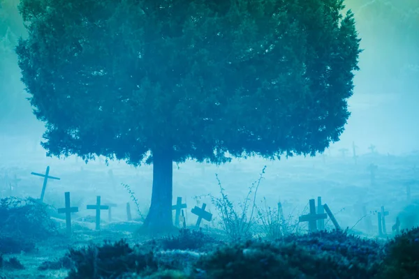 Wazig Mistig Weer Vroege Ochtend Sad Hill Cemetery Burgos Spanje — Stockfoto