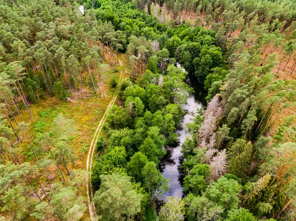 Luchtfoto Groen Bos Rivier Brda Kano Parcours Tuchola Nationaal Park — Stockfoto