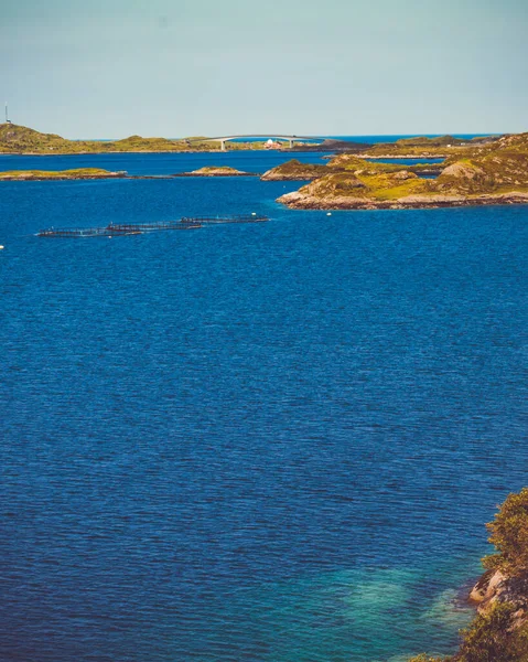 Zalm Vissen Viskwekerij Aan Zee Lofoten Eilanden Noorwegen — Stockfoto